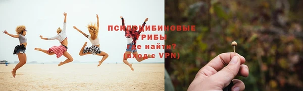ПСИЛОЦИБИНОВЫЕ ГРИБЫ Алексин