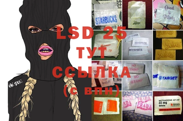 прущие грибы Алексеевка