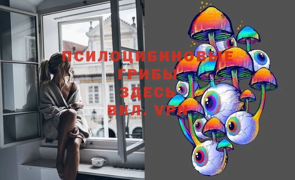 прущие грибы Алексеевка